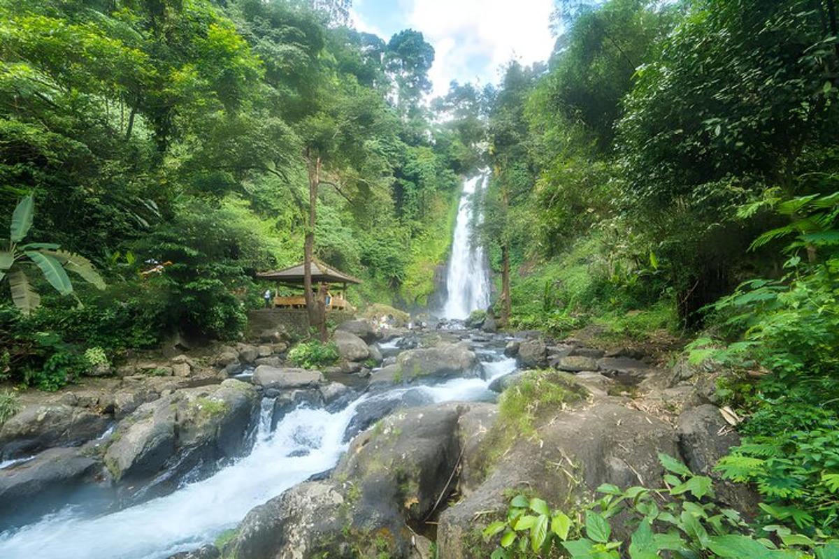 una cascada en medio de un río en un bosque
