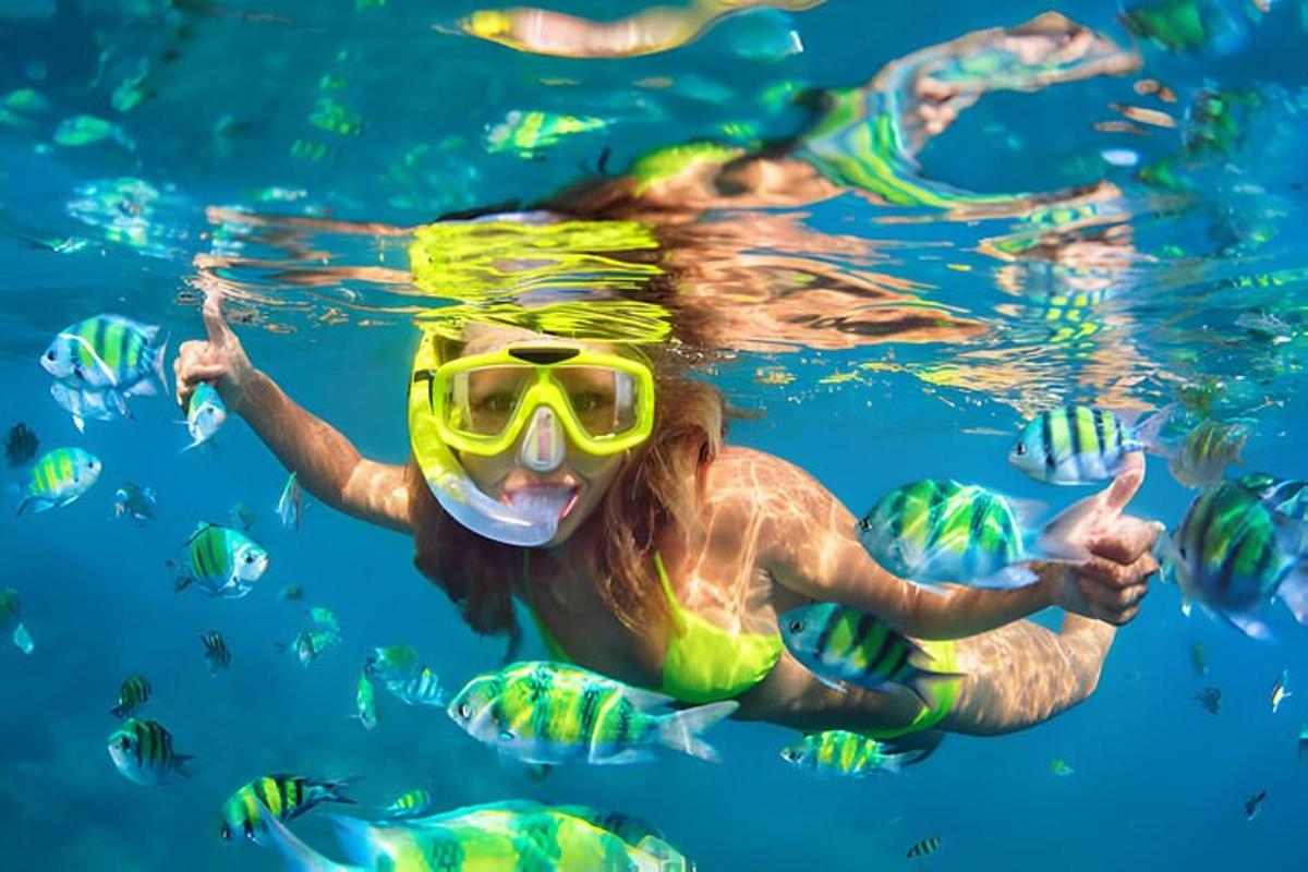 kona syndir í vatni með snorkel