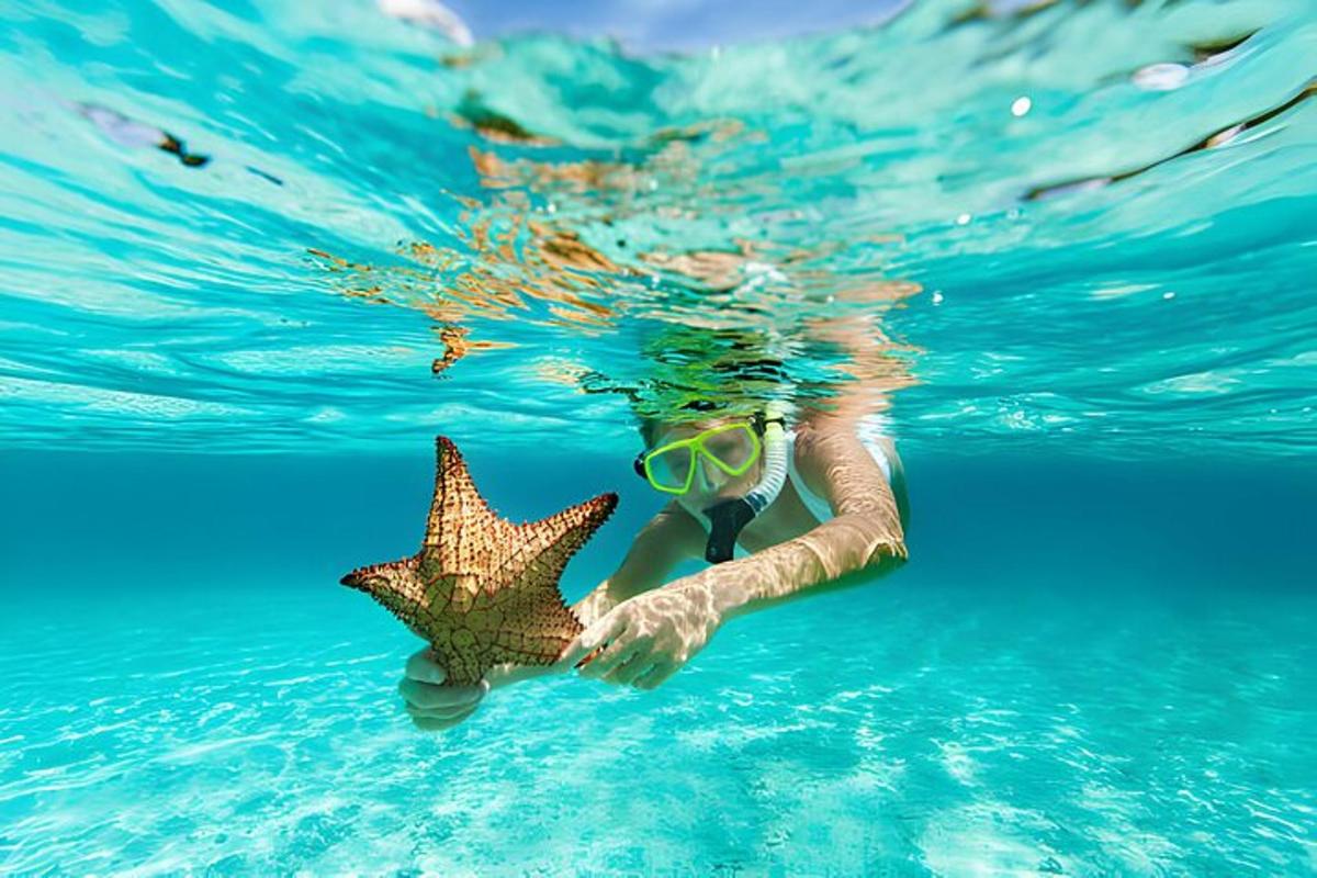 una persona amb una estrella de mar a l'aigua