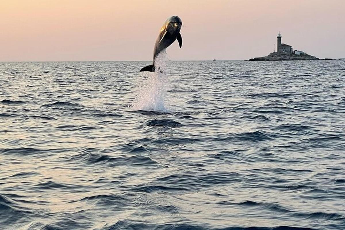 Lankytinos vietos ar pramogos nuotrauka numeris 3