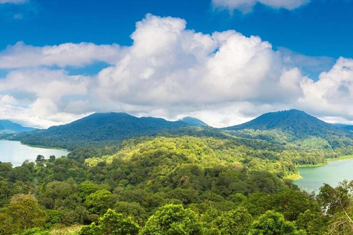 a view of a river and mountains with trees