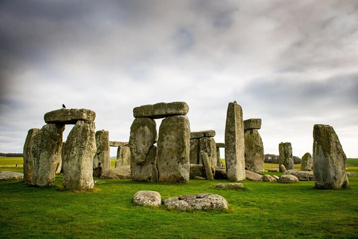 một nhóm các khối đá Stonehengeolith trong một cánh đồng có đá