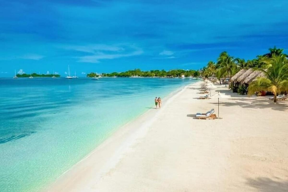 a beach with palm trees and people on the shore