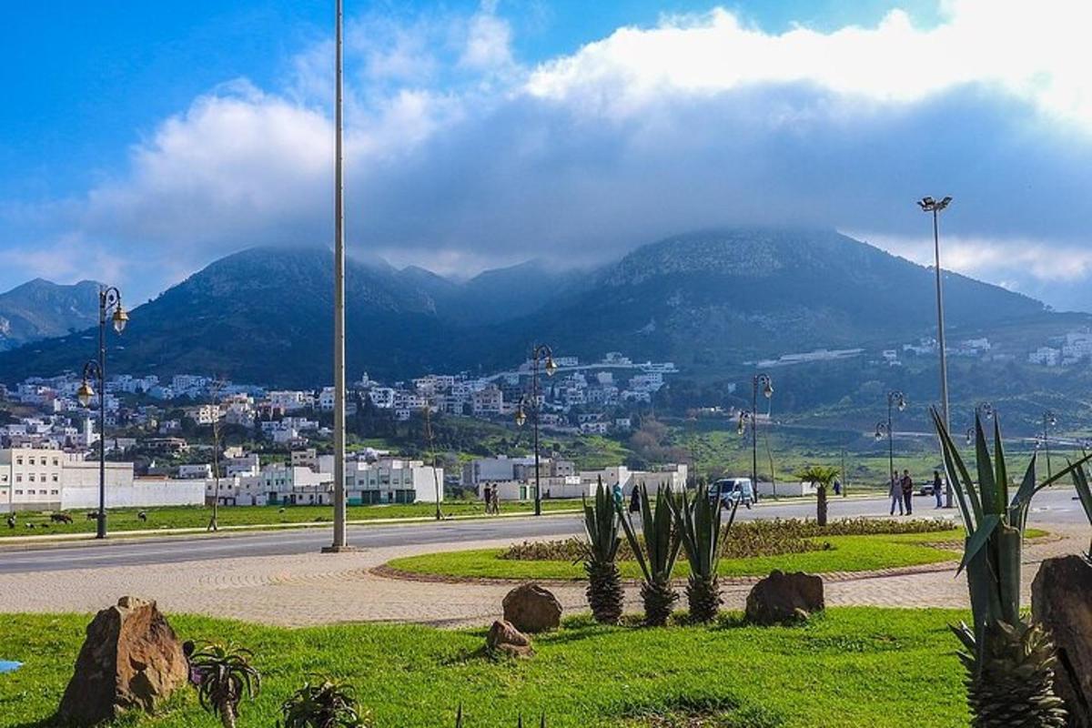 Una vista de una ciudad con una montaña al fondo.