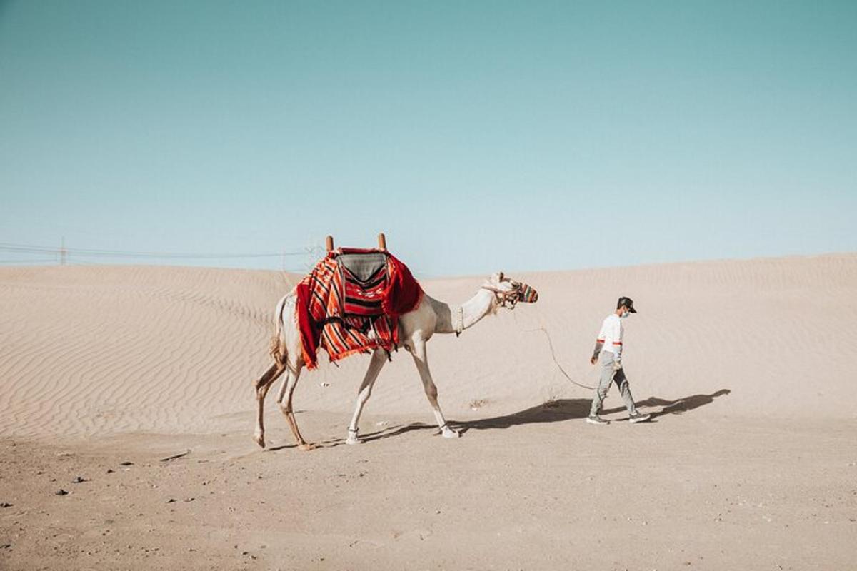 a man walking a camel in the desert
