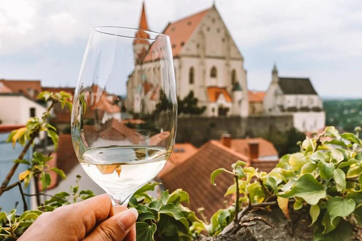 a person holding a glass of wine in front of a city