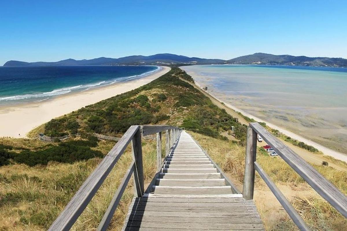 una passerella di legno che conduce a una spiaggia