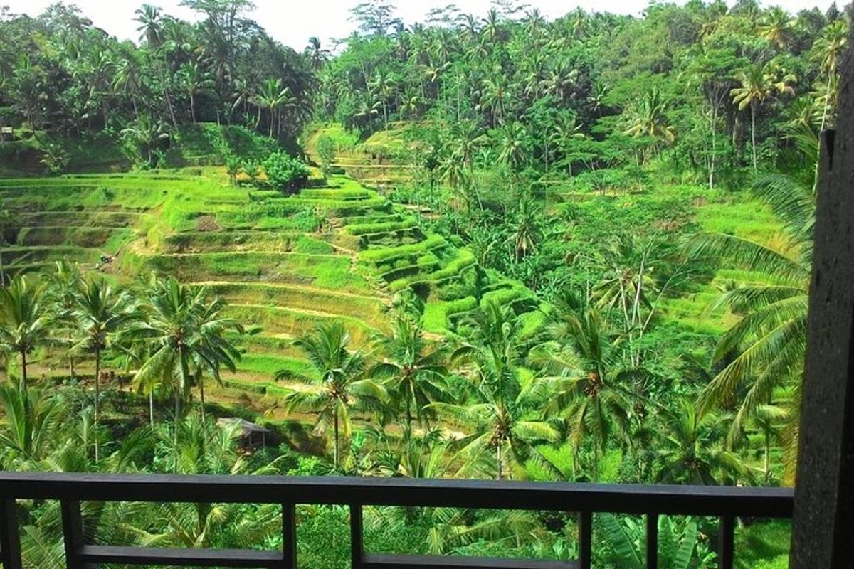 pemandangan ladang hijau subur dengan pohon palem