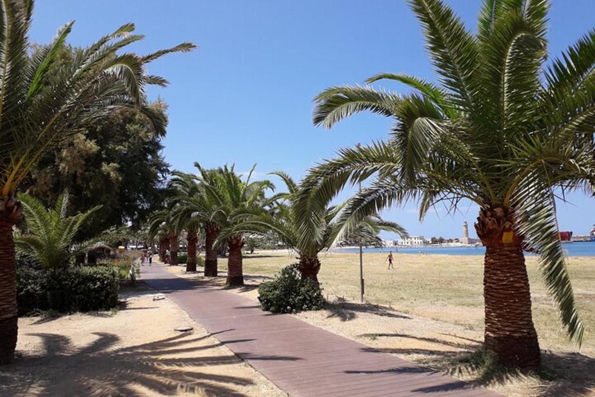 una fila di palme su una spiaggia sabbiosa