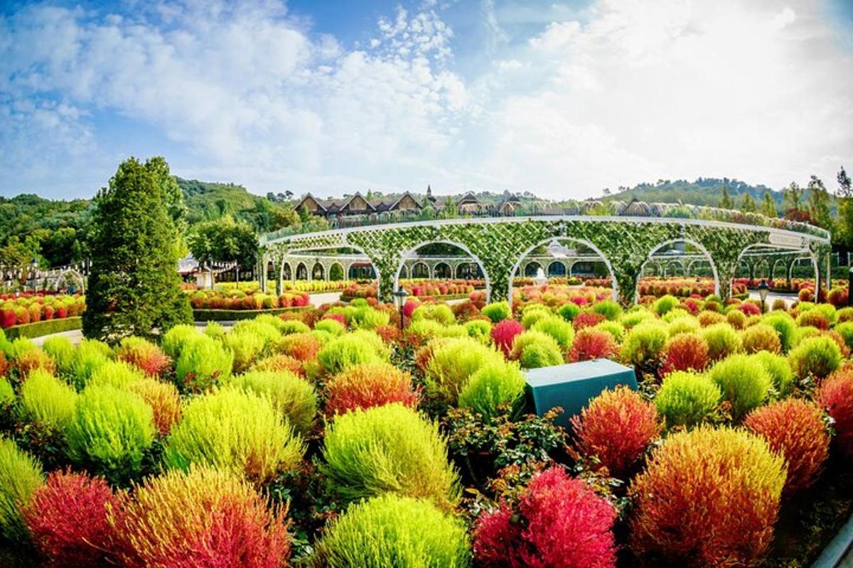 un giardino con tante piante colorate e una serra