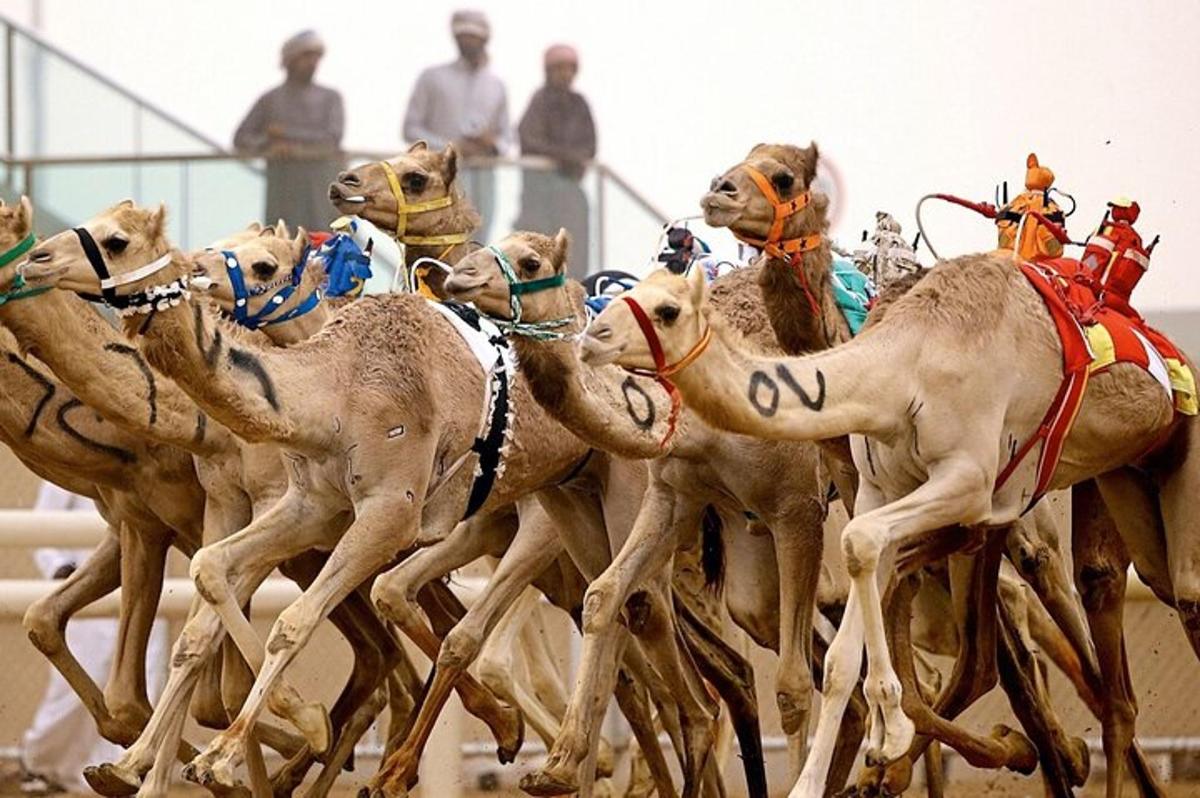 صورة رقم 1 للمعلم السياحي