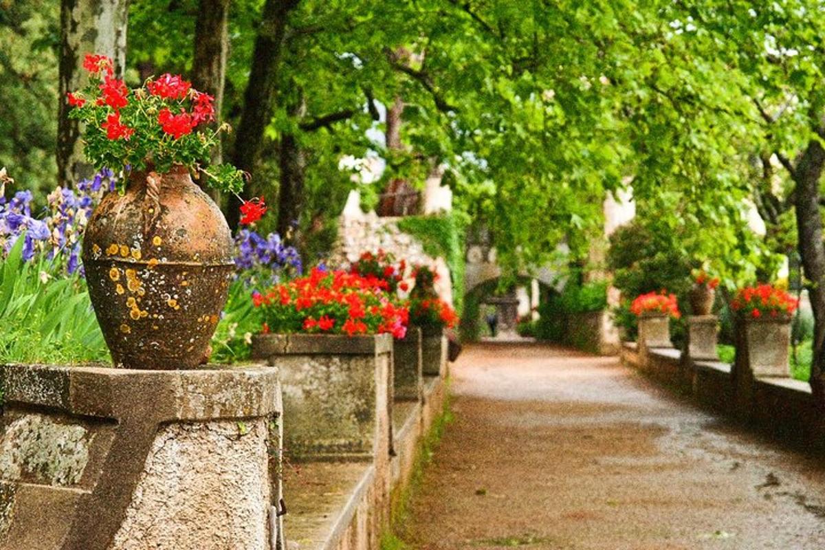 kiviseinal lilledega täidetud vaas