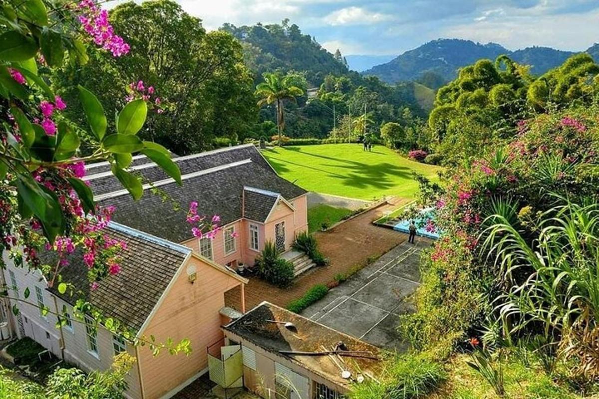uma vista aérea de uma casa com quintal