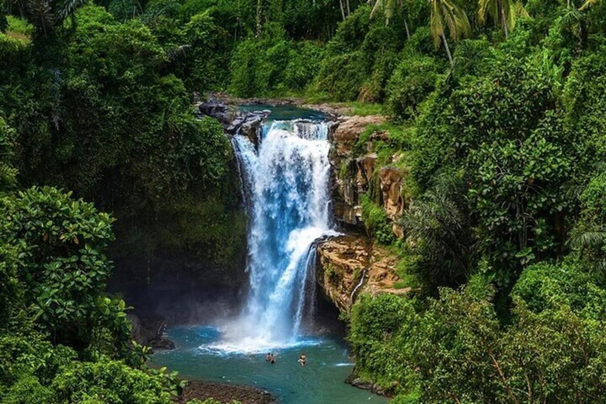 uma cachoeira na selva com pessoas na água