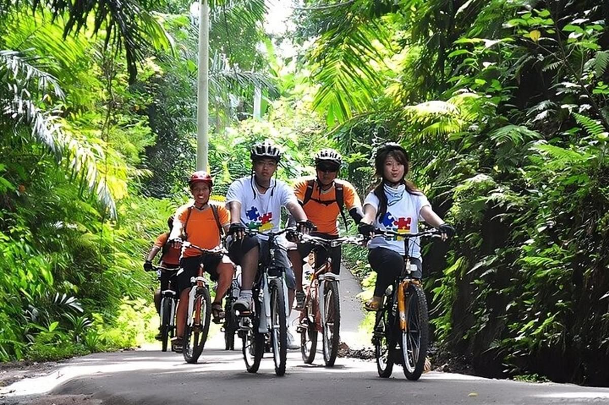 sekumpulan orang menunggang basikal di jalan raya