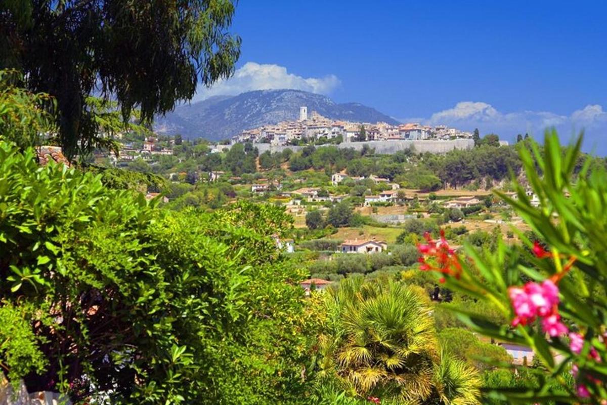 una città in cima a una collina con alberi e fiori