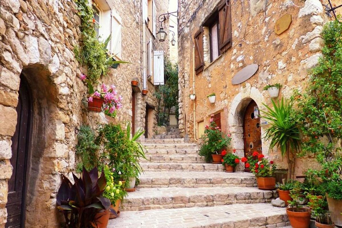 un vicolo con scale e piante in un vecchio edificio