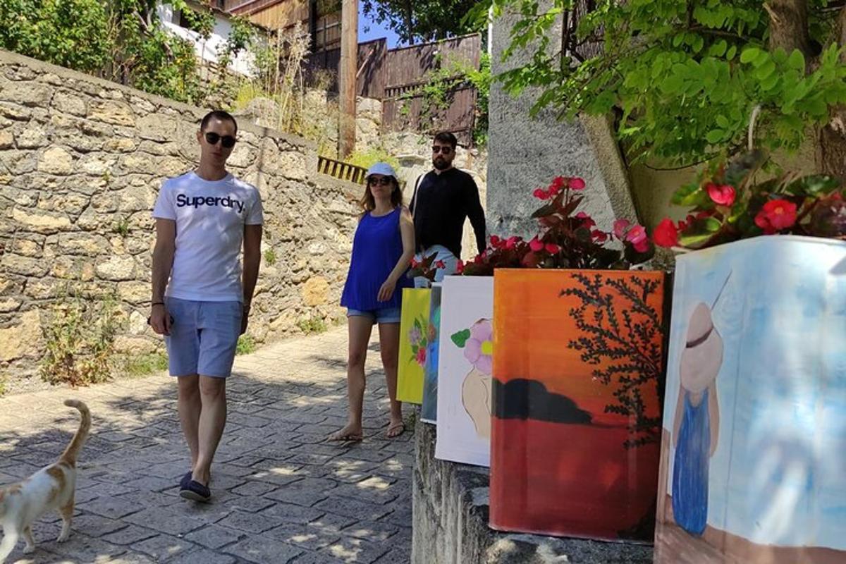 un grup de oameni care merg pe stradă cu o pisică