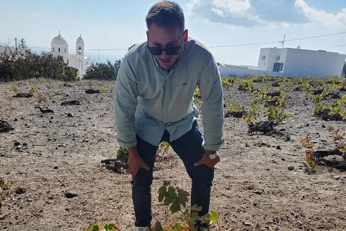 Muž se slunečními brýlemi se dívá na rostlinu