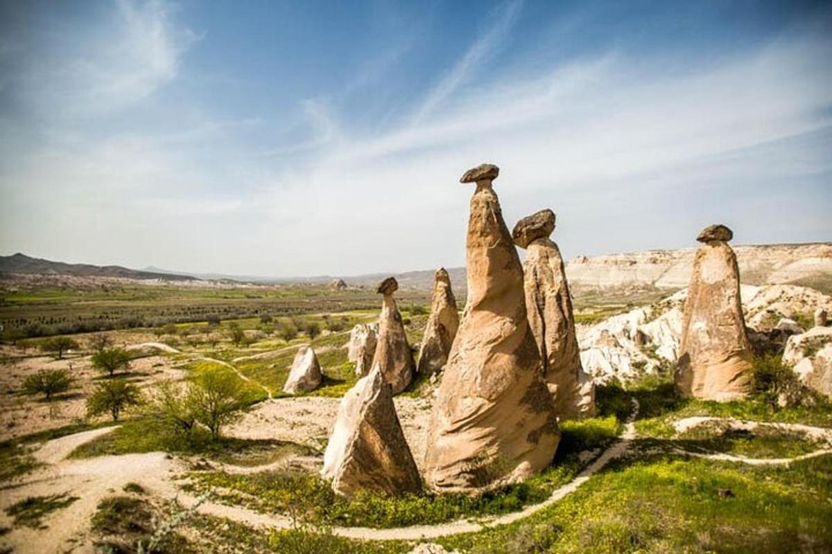 un gruppo di alte rocce in un campo