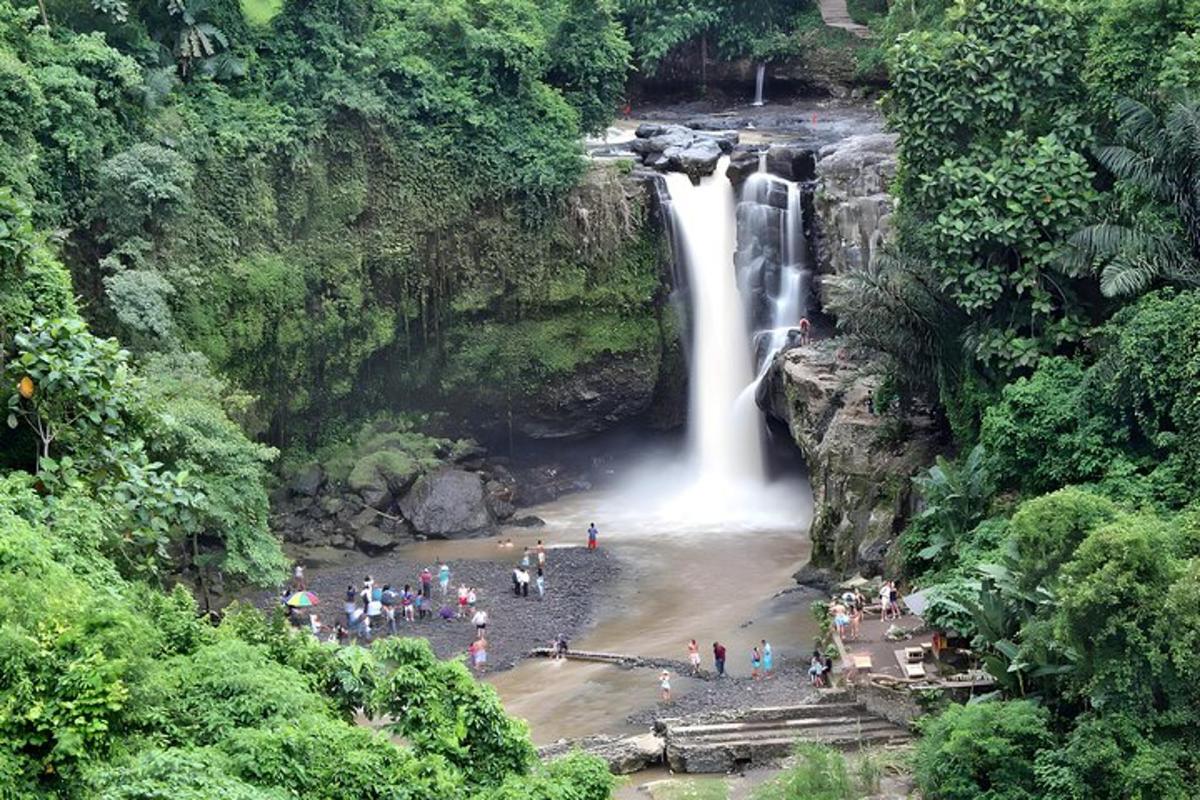 un grup de persones dempeus davant d'una cascada