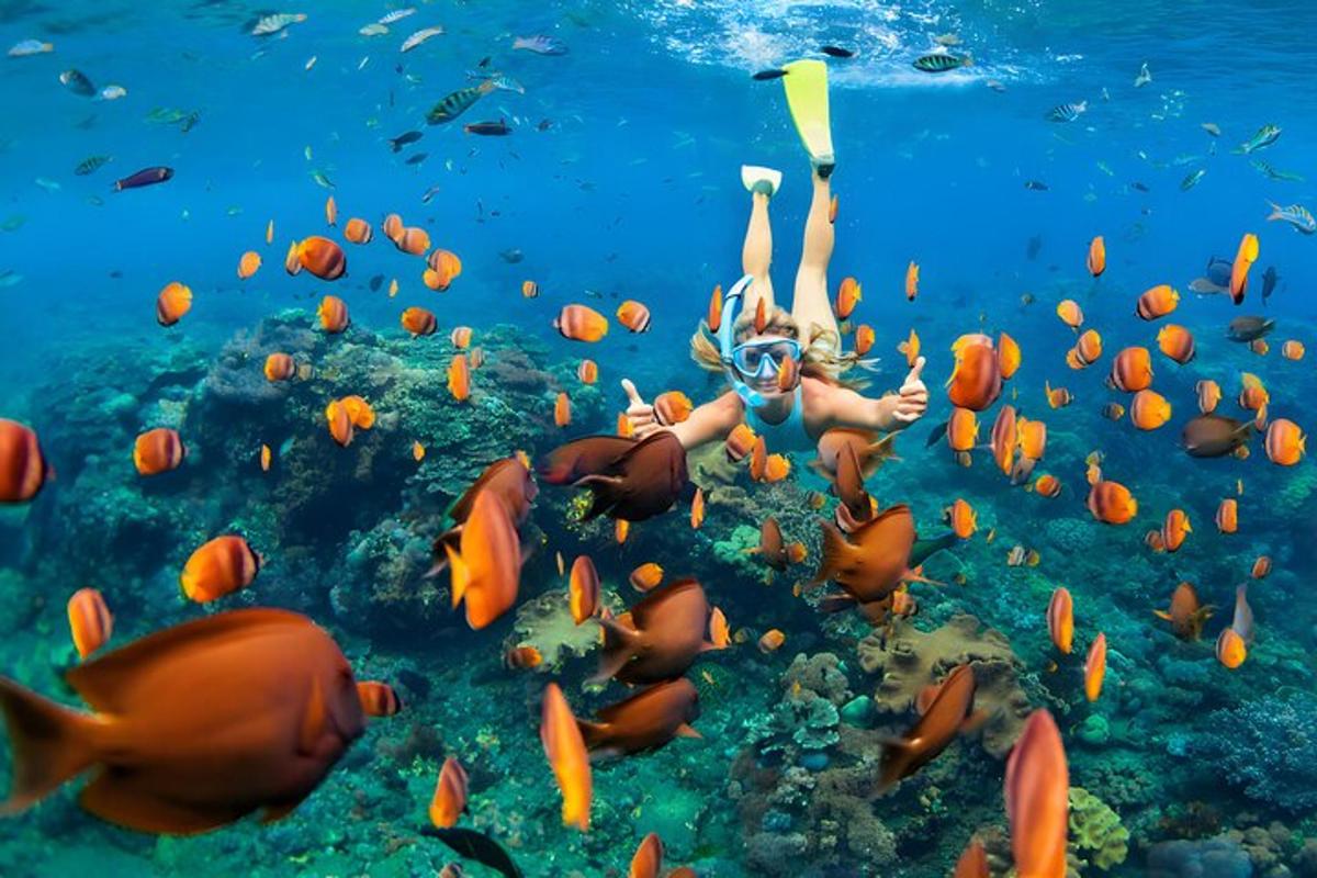 uma mulher nadando no oceano com um cardume de peixes