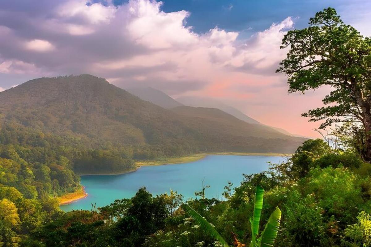 山中湖景