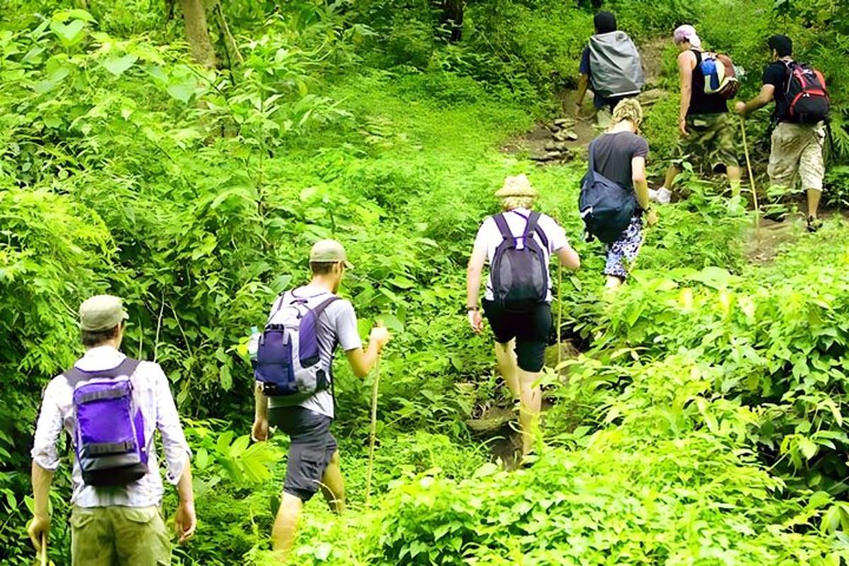 um grupo de pessoas caminhando em uma trilha na floresta