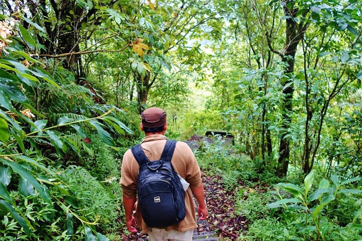 seorang pria dengan ransel berjalan menyusuri jalan setapak di hutan