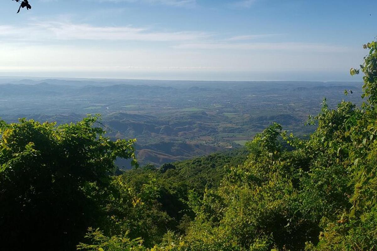 pemandangan dari atas bukit dengan pokok-pokok