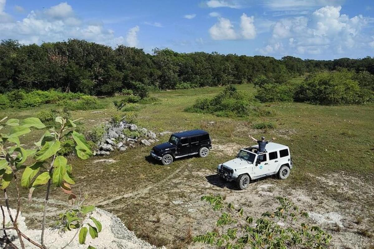 hai chiếc xe jeep đậu cạnh nhau trên một cánh đồng