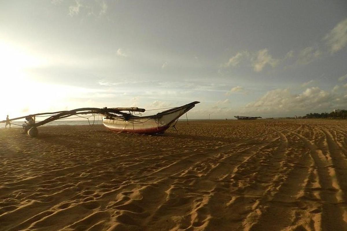 Fotografia da atração 1