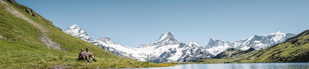 a person on a horse standing in front of a mountain