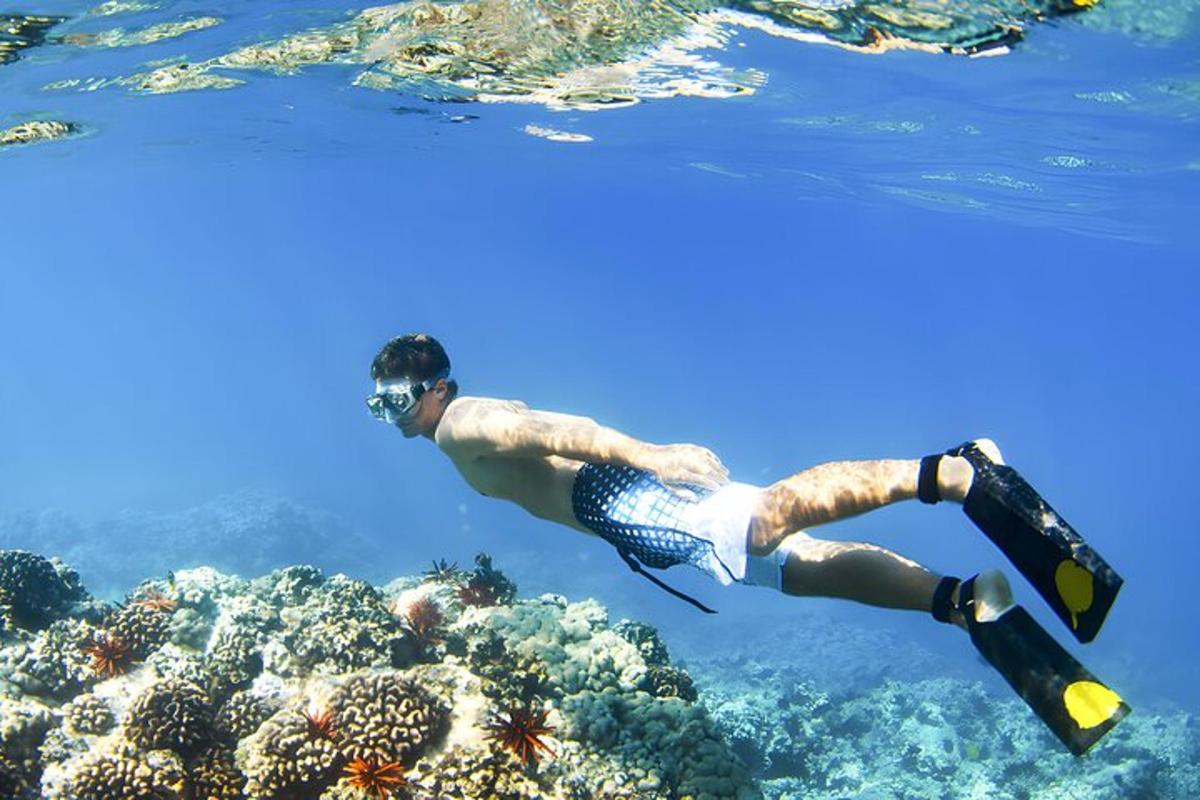 muž plave přes korálový útes v oceánu