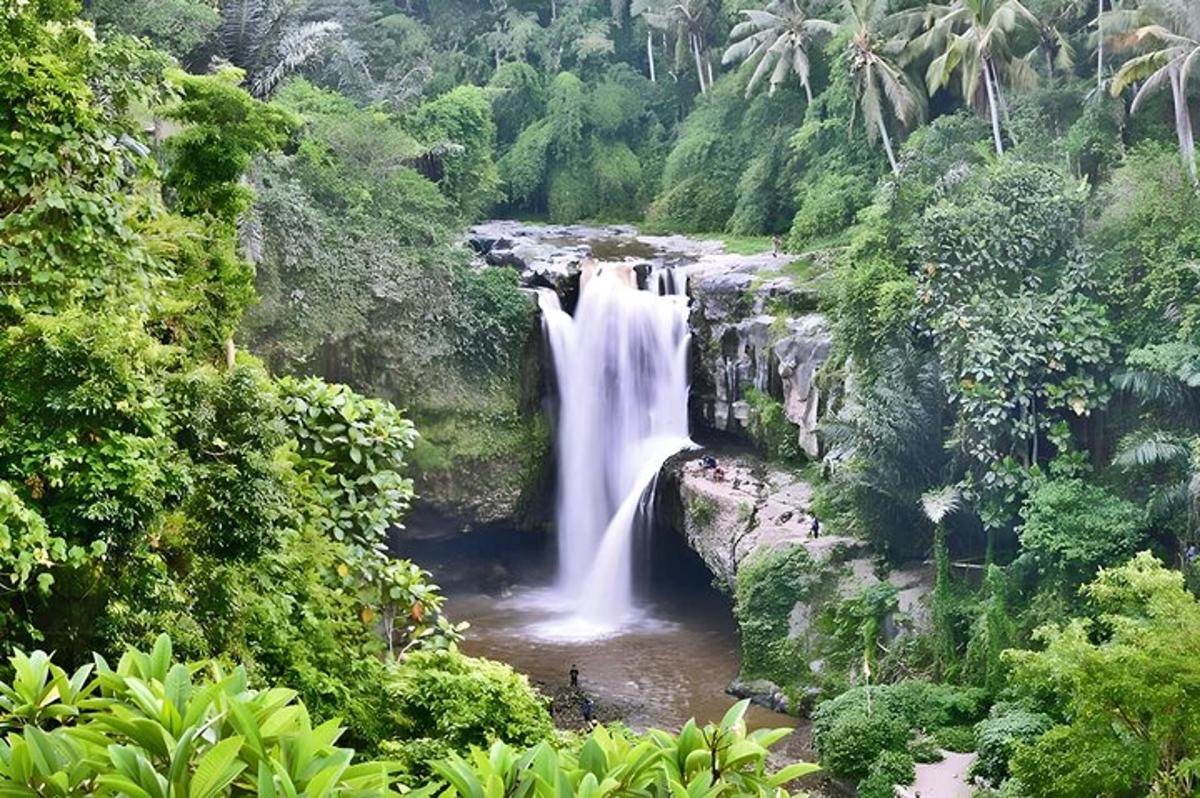 air terjun di tengah hutan