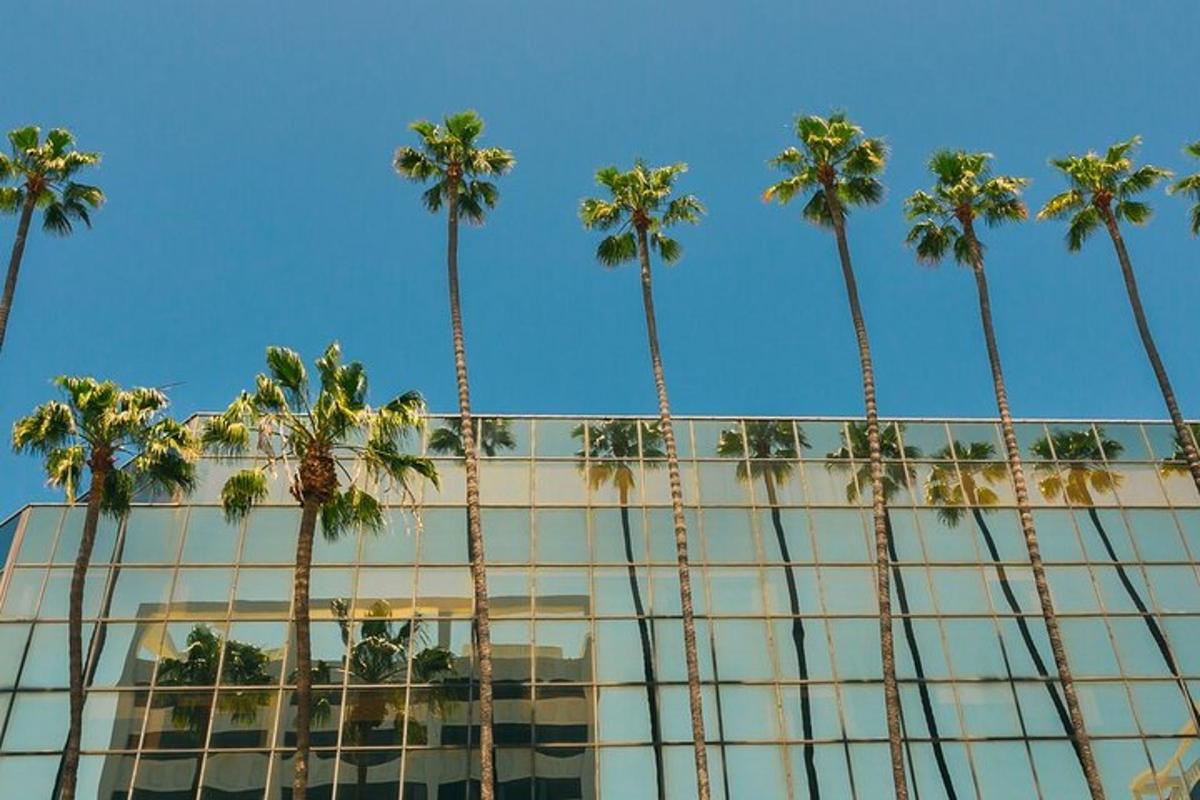 un gruppo di palme davanti a un edificio