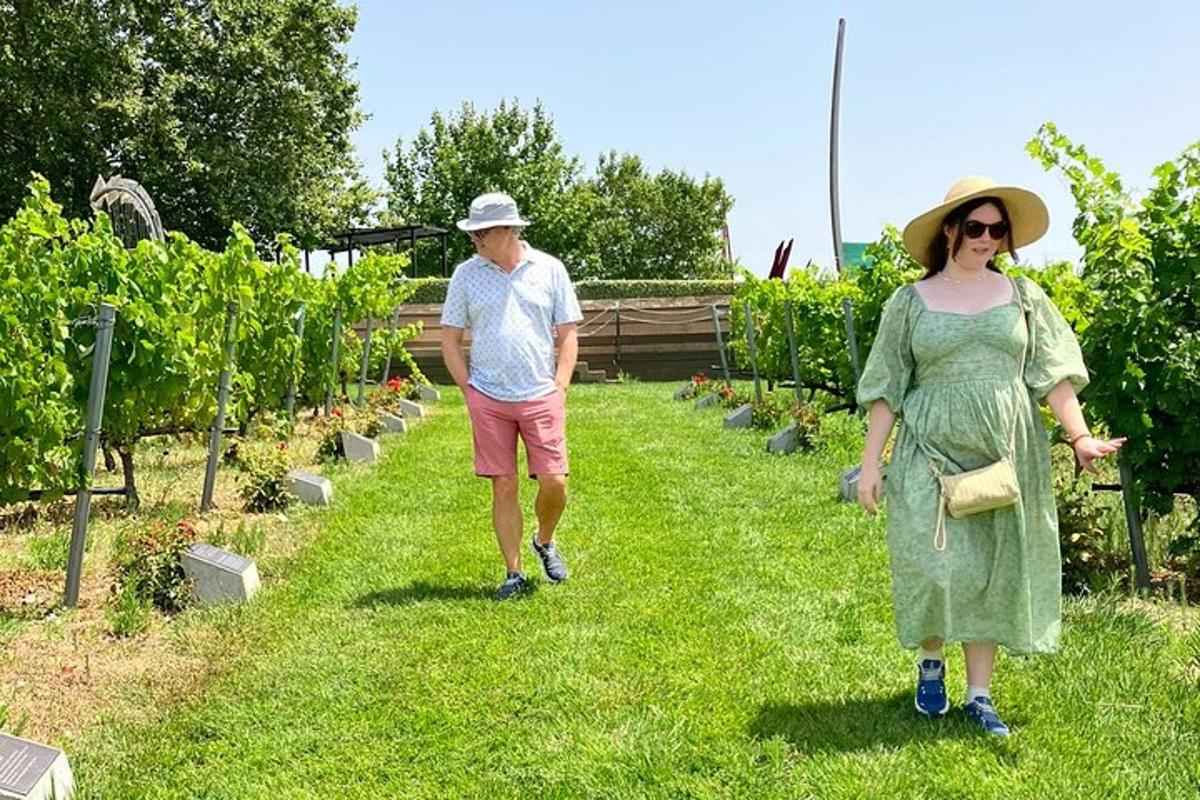 um homem e uma mulher caminhando por um jardim