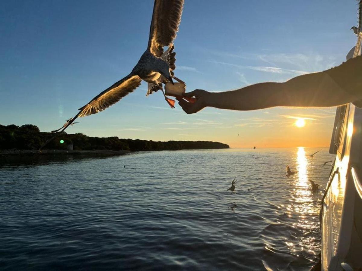 Fotografia da atração 4