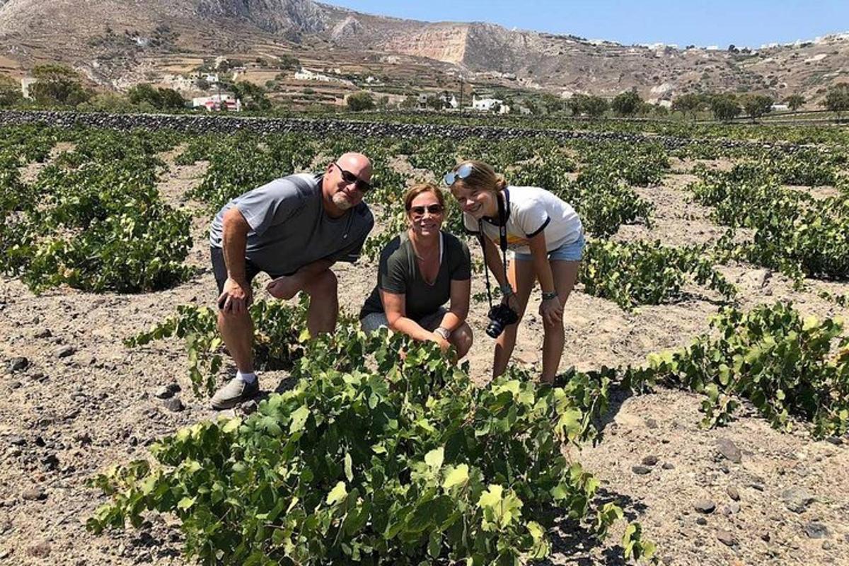 three people standing in a field of plants