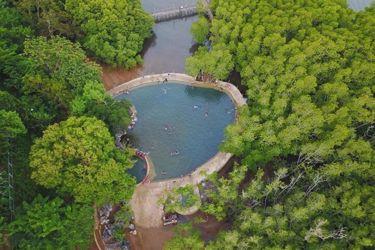 an aerial view of a lake in a forest