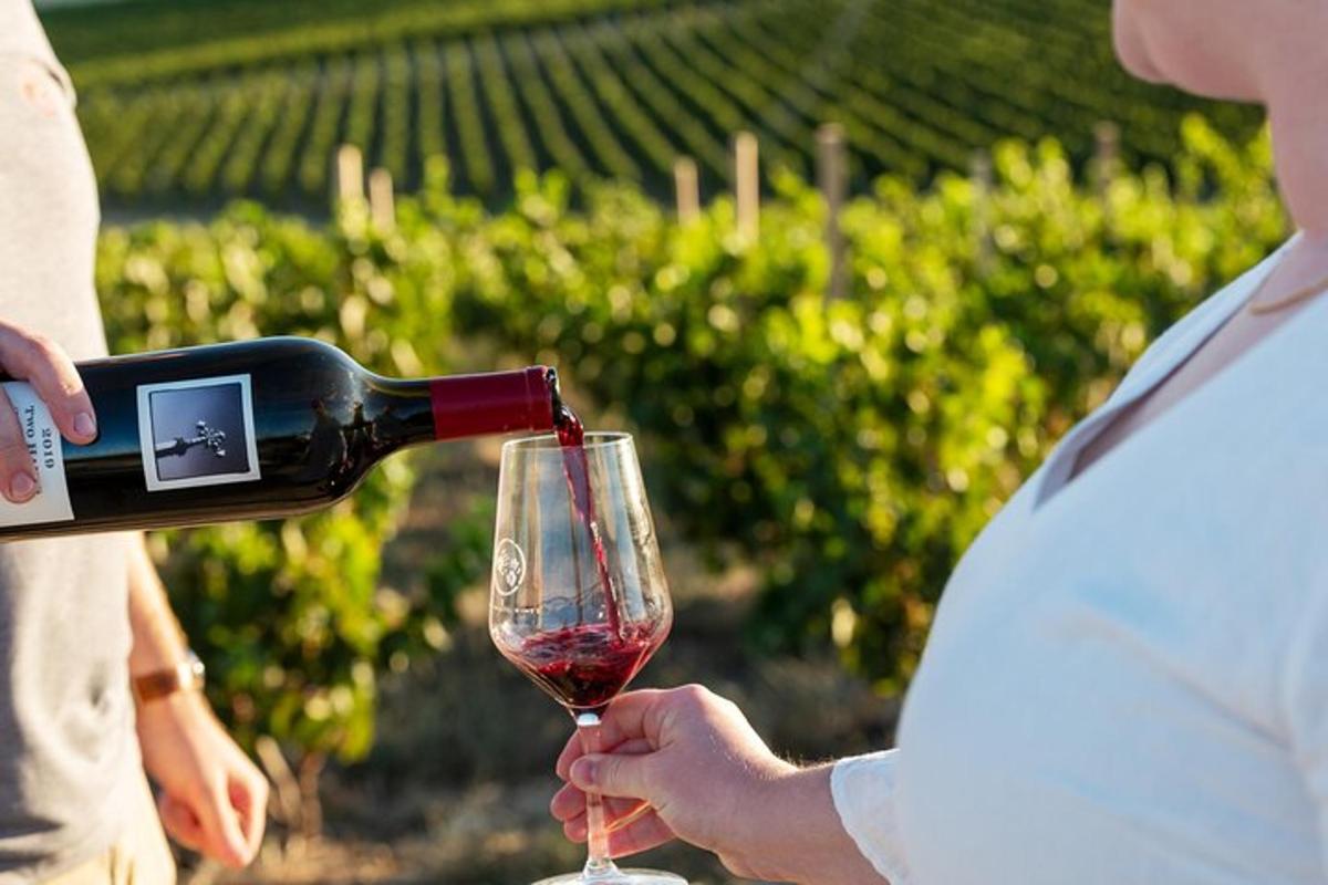 uma mulher servindo uma taça de vinho tinto
