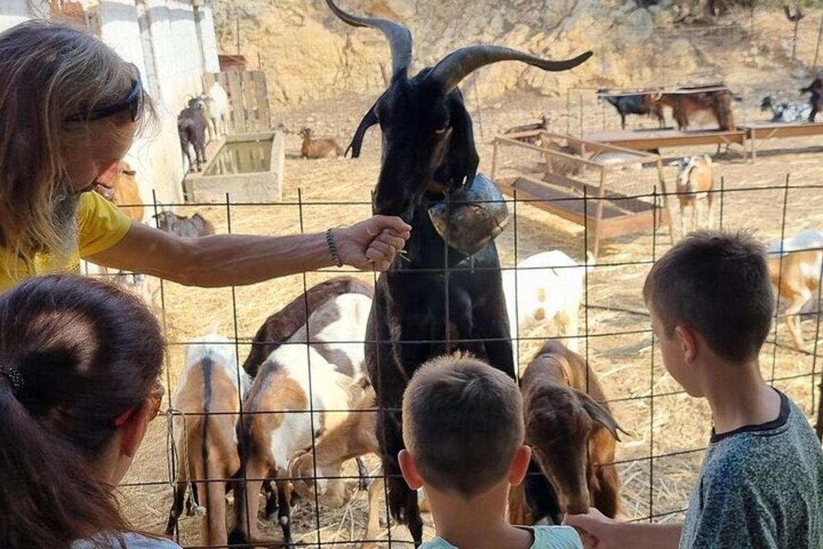 uma mulher está acariciando uma cabra atrás de uma cerca