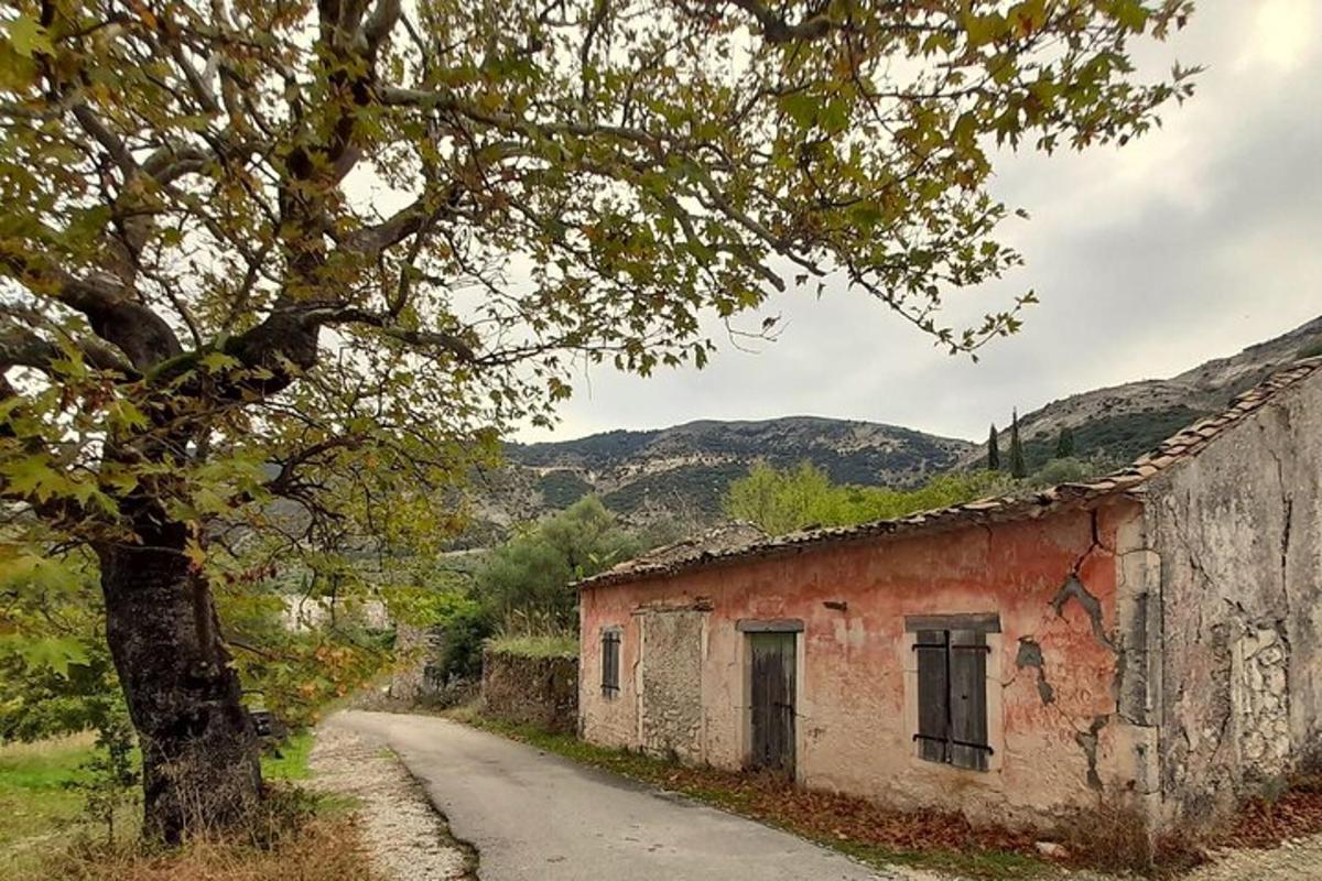 Lankytinos vietos ar pramogos nuotrauka numeris 5