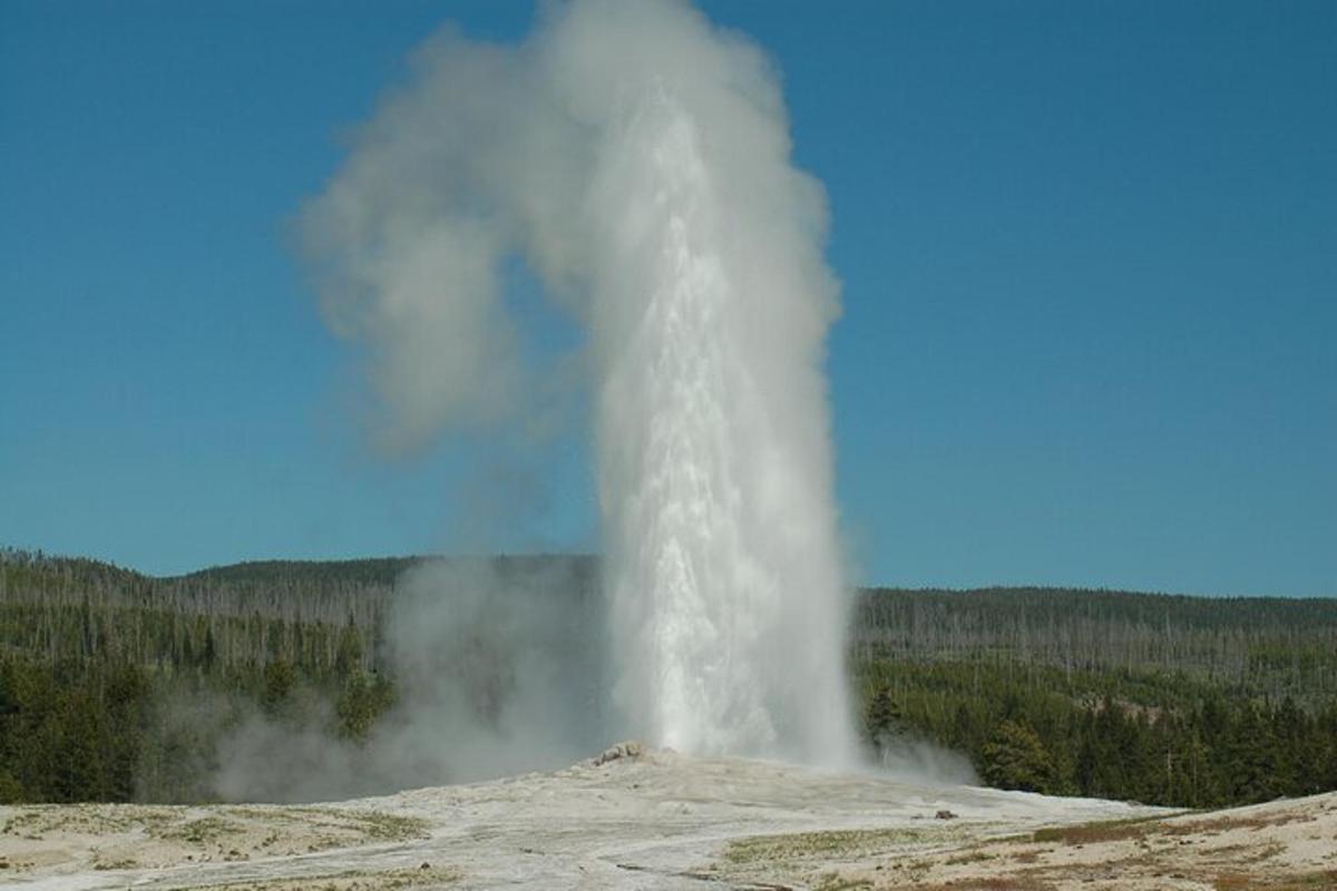 a geyser in the middle of a field