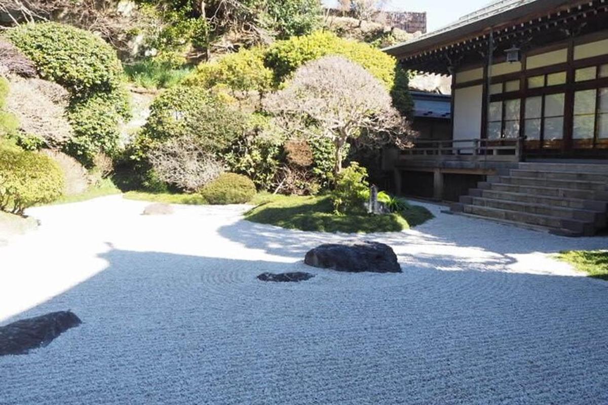 um jardim com pedras em frente a um prédio