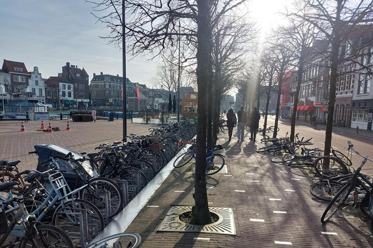 una filera de bicicletes aparcades en un carrer de la ciutat