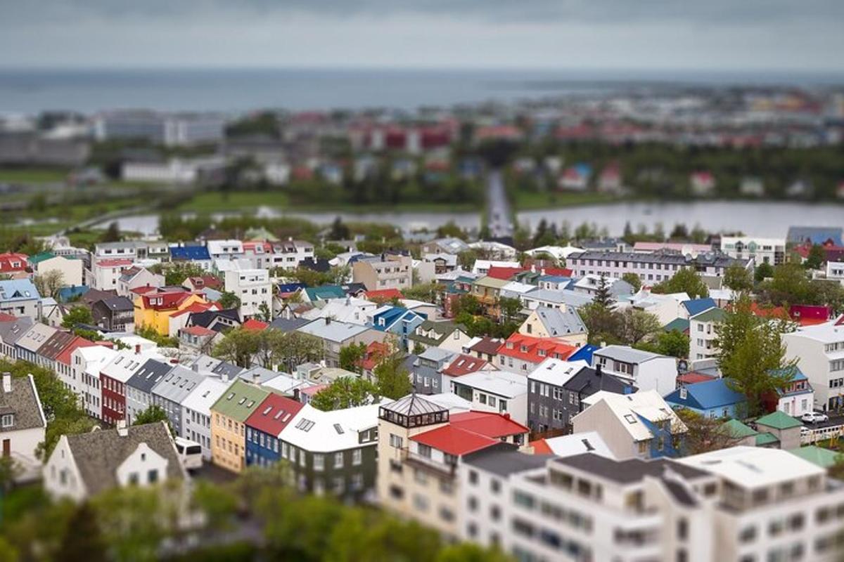 Loftmynd af borg með byggingum