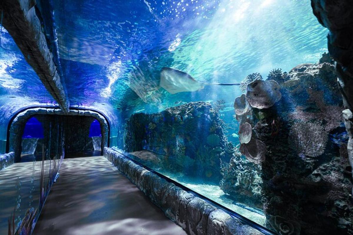 Attraction picture 1