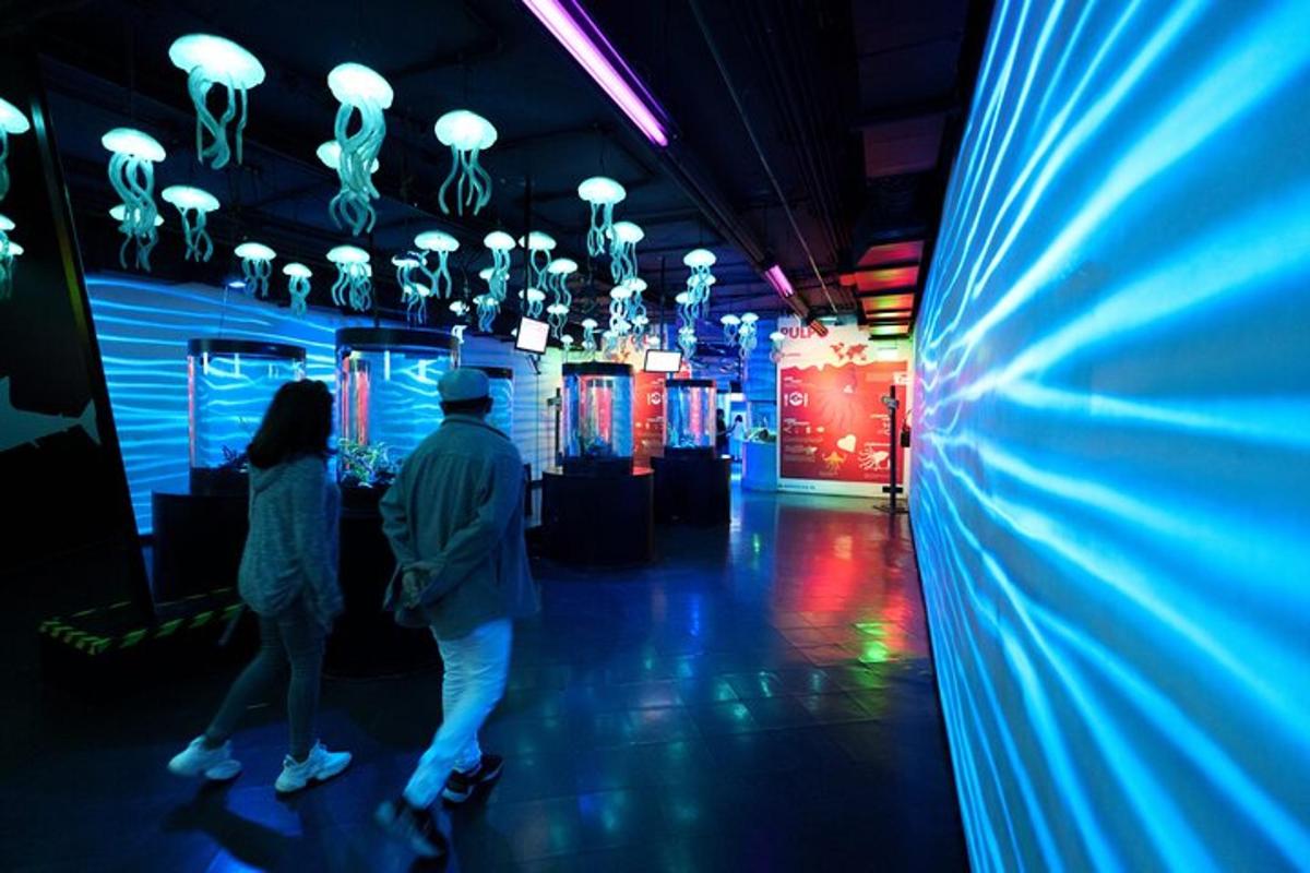 Attraction picture 2