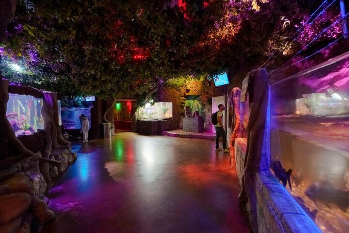 Attraction picture 3